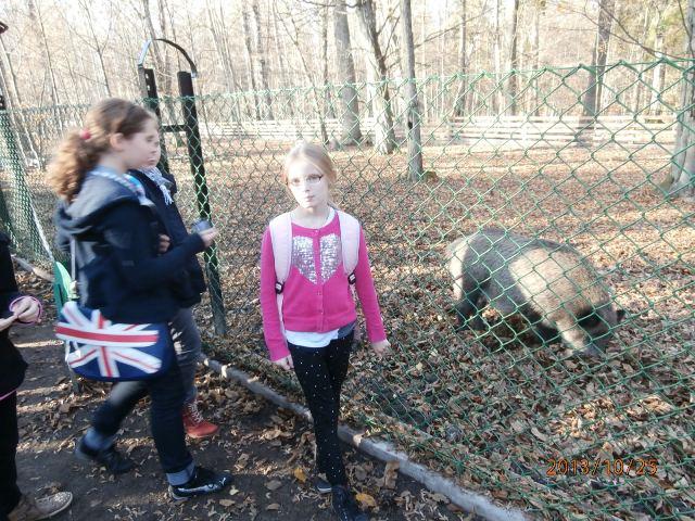 25.10.2013_WYCIECZKA DO BIAŁOWIEŻY52.JPG